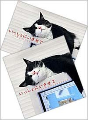 『いっしょにいさせて』CD&ポストカードセット