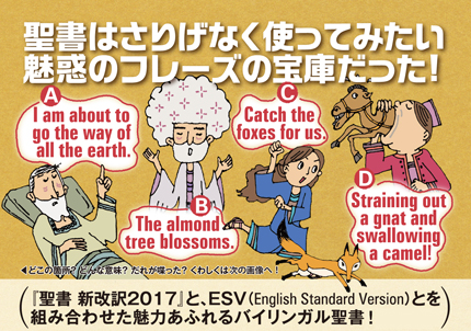 書籍 | いのちのことば社